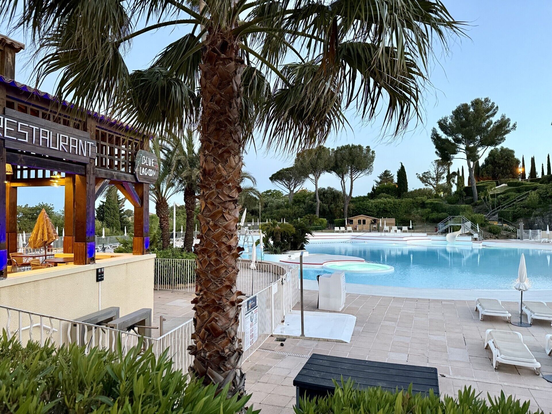 A pool area with lounge chairs, a restaurant, and a palm tree.