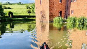 Un cisne negro nada en una masa de agua tranquila cerca de un edificio de ladrillo con ventanas y una puerta.