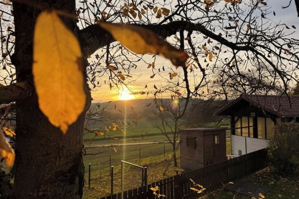 Ihr Ausblick in die Natur