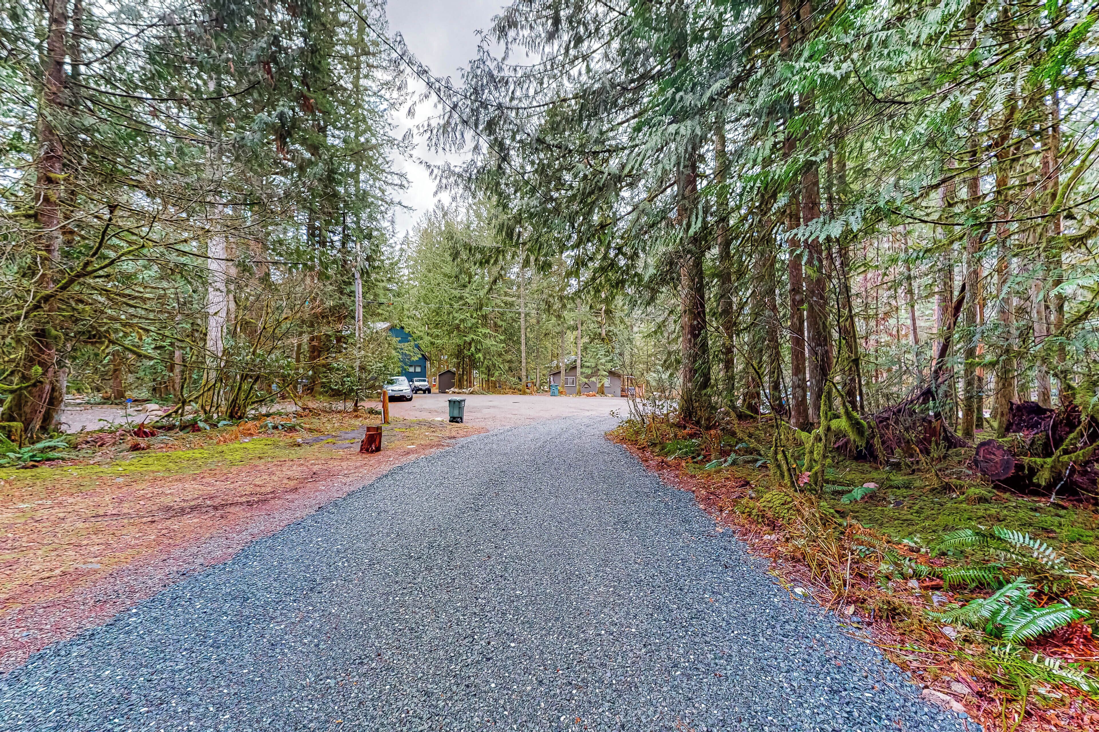 A forested area with a gravel path leading to a building.