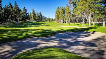 Apartment (1 Bedroom) | Interior