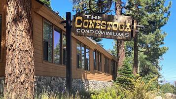 Apartment (1 Bedroom) | Interior