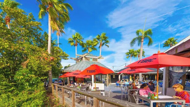 An outdoor dining area with red umbrellas labeled "TBBC," surrounded by palm trees and a wooden deck. - Dolphin & Manatee Cove Condo: Beach Access + More! (Ruskin)