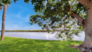 A grassy area with a large tree and a body of water in the background. - Dolphin & Manatee Cove Condo: Beach Access + More! (Ruskin)