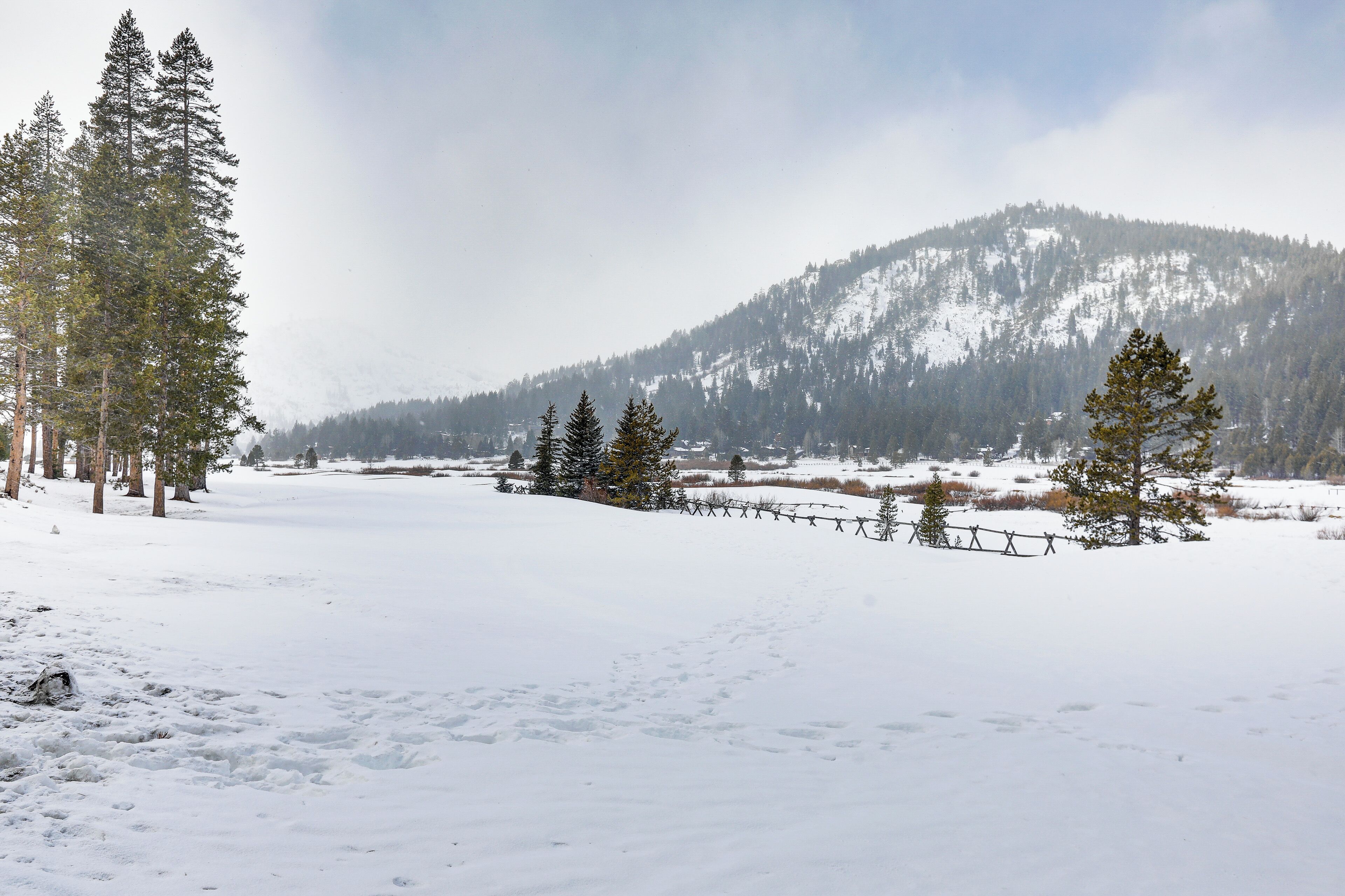 Un paysage enneigé avec une montagne en arrière-plan et une clôture en bois au premier plan.
