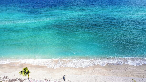 A beach with clear turquoise water, a palm tree, and a sandy shore. - Walk to Hollywood Beach: Luxury Family Getaway! (Hollywood)