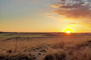 Un atardecer sobre un paisaje llano con hierba escasa y sin construcciones a la vista.