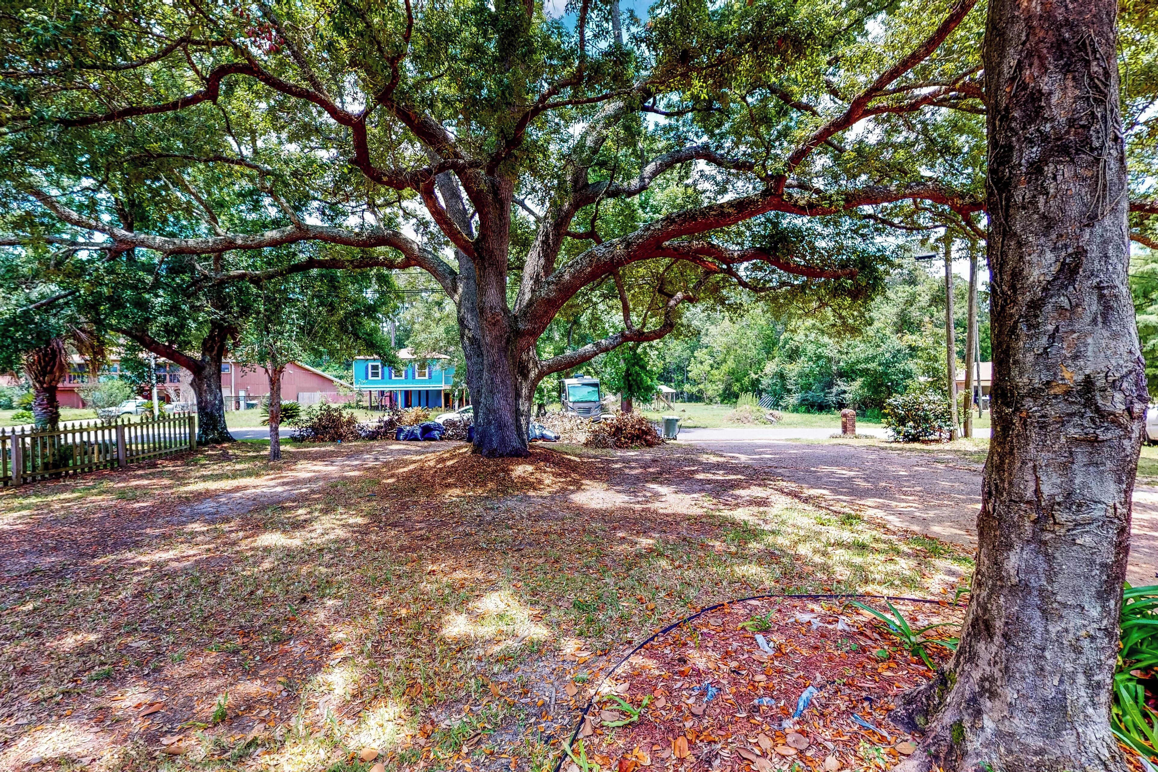 獨棟房屋 (4 Bedrooms) | 住宿內部