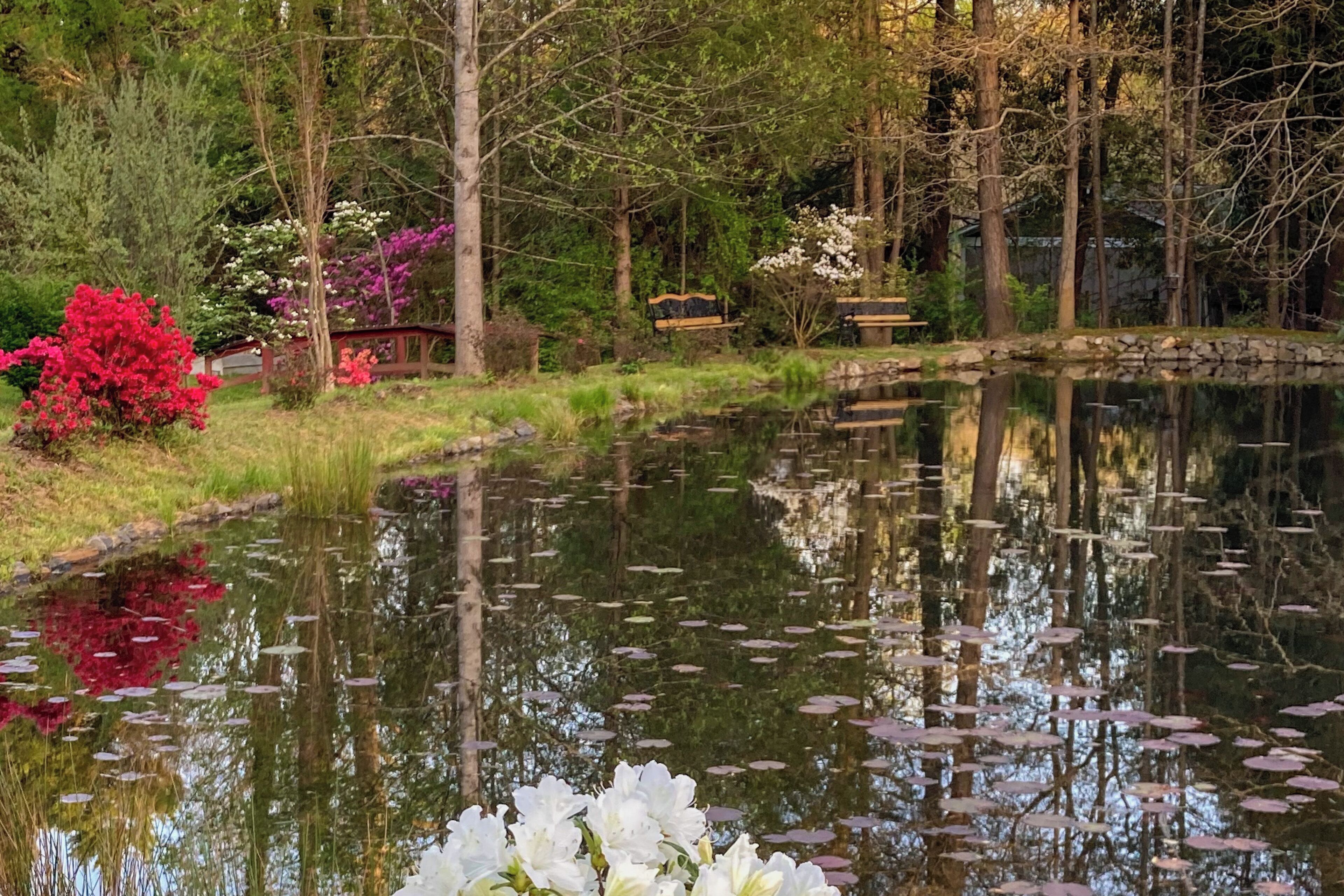 Rumah (2 Bedrooms) | Interior