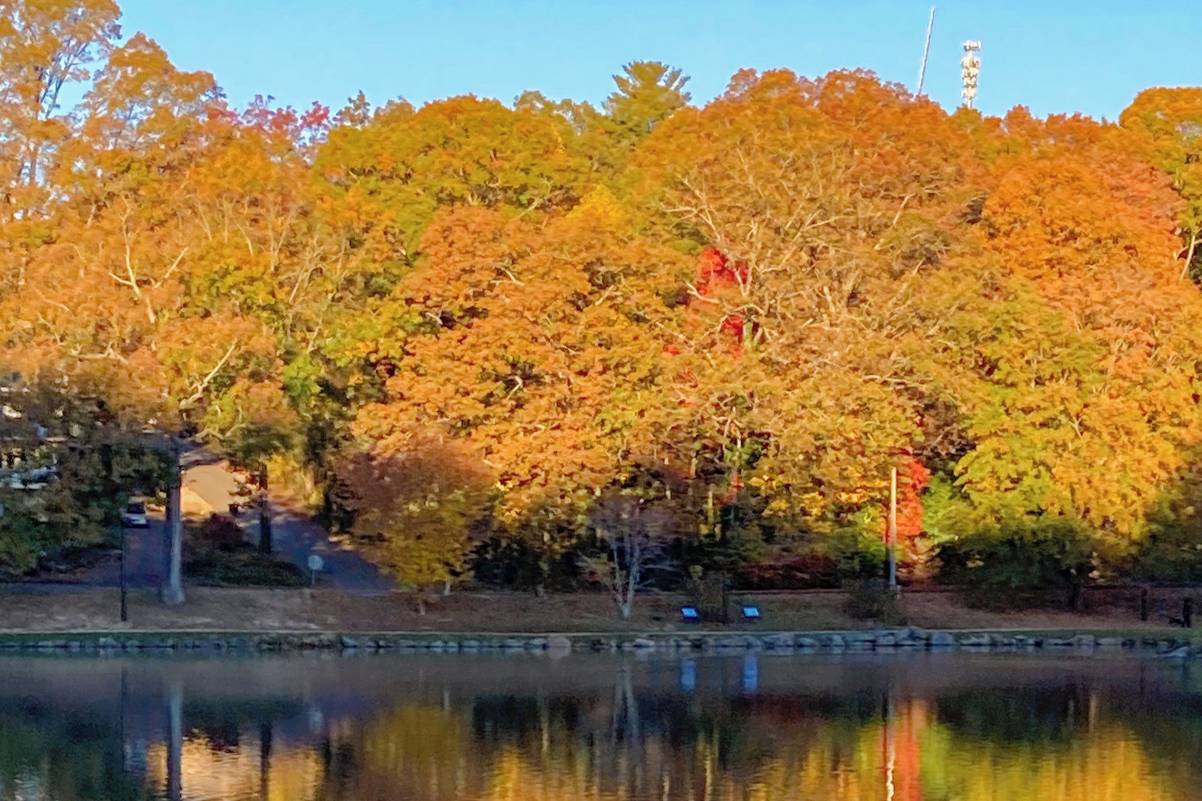 A serene lakeside view with autumn foliage, a clear sky, and a distant tower.