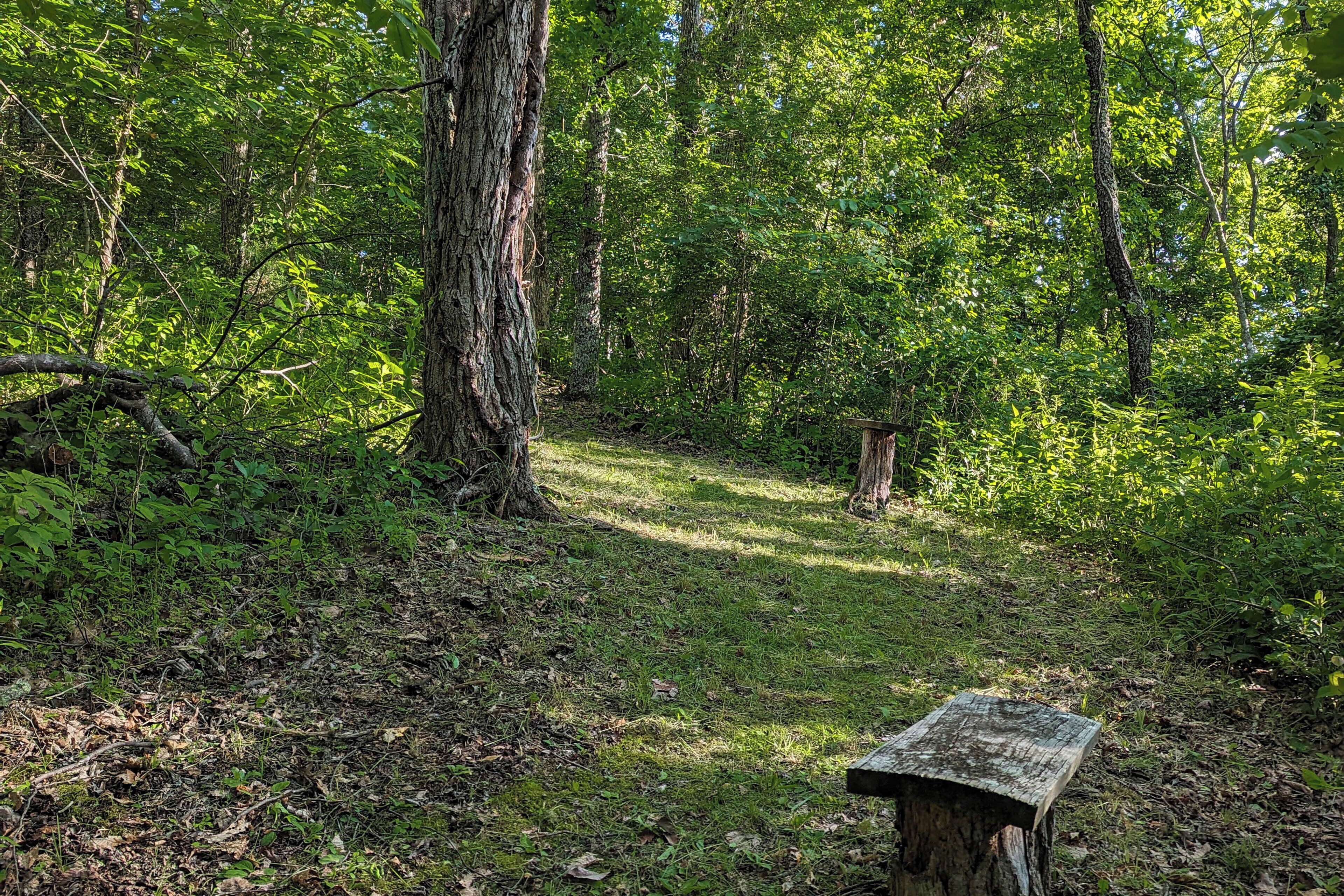 A forested area with a wooden bench and a wooden post.
