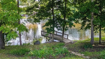 Un puente de madera sobre un lago tranquilo, rodeado de abundante vegetación y árboles.