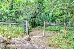 Talo (5 Bedrooms) | Sisätilat