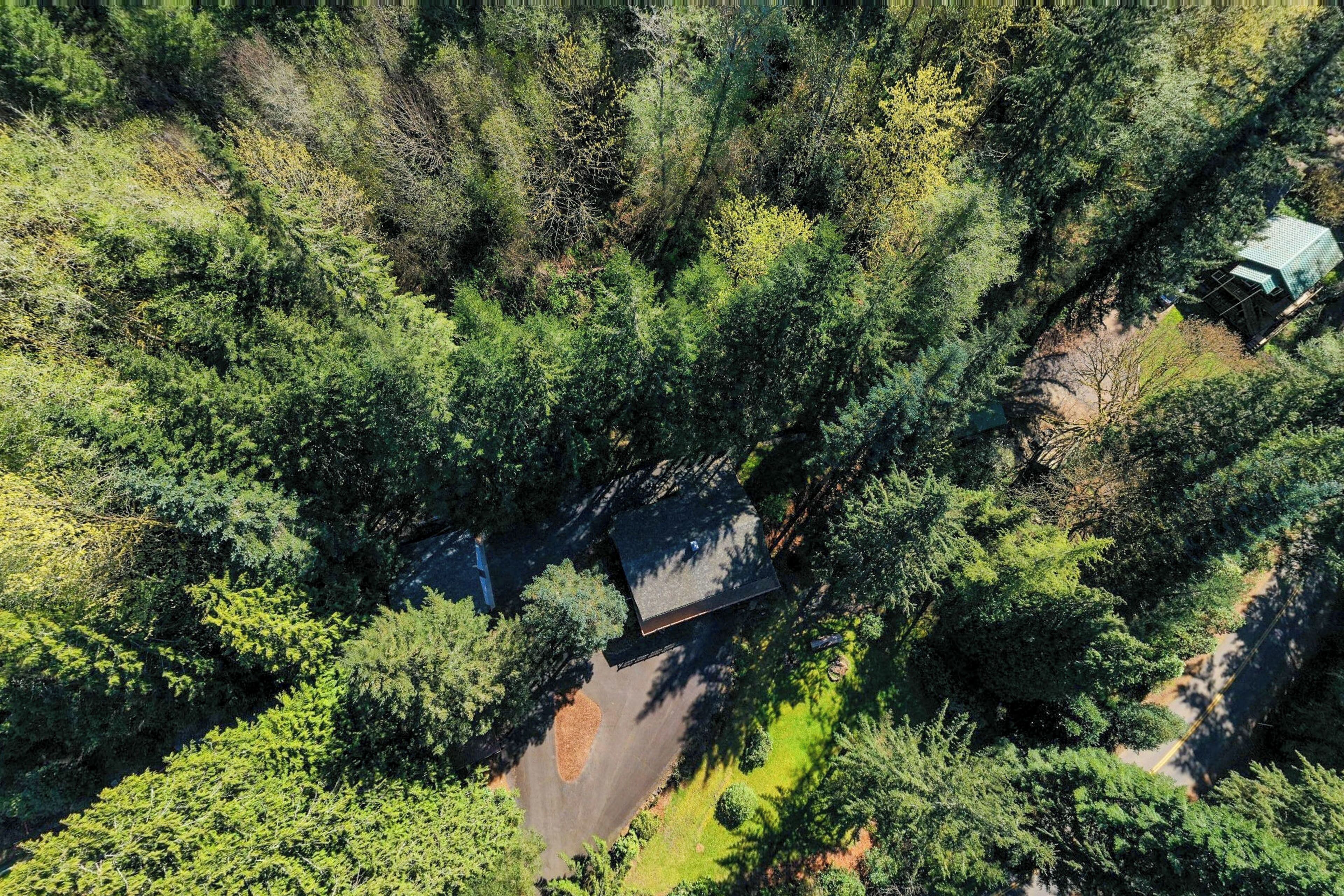 Vue aérienne d’une zone boisée avec un petit bâtiment entouré d’arbres denses.