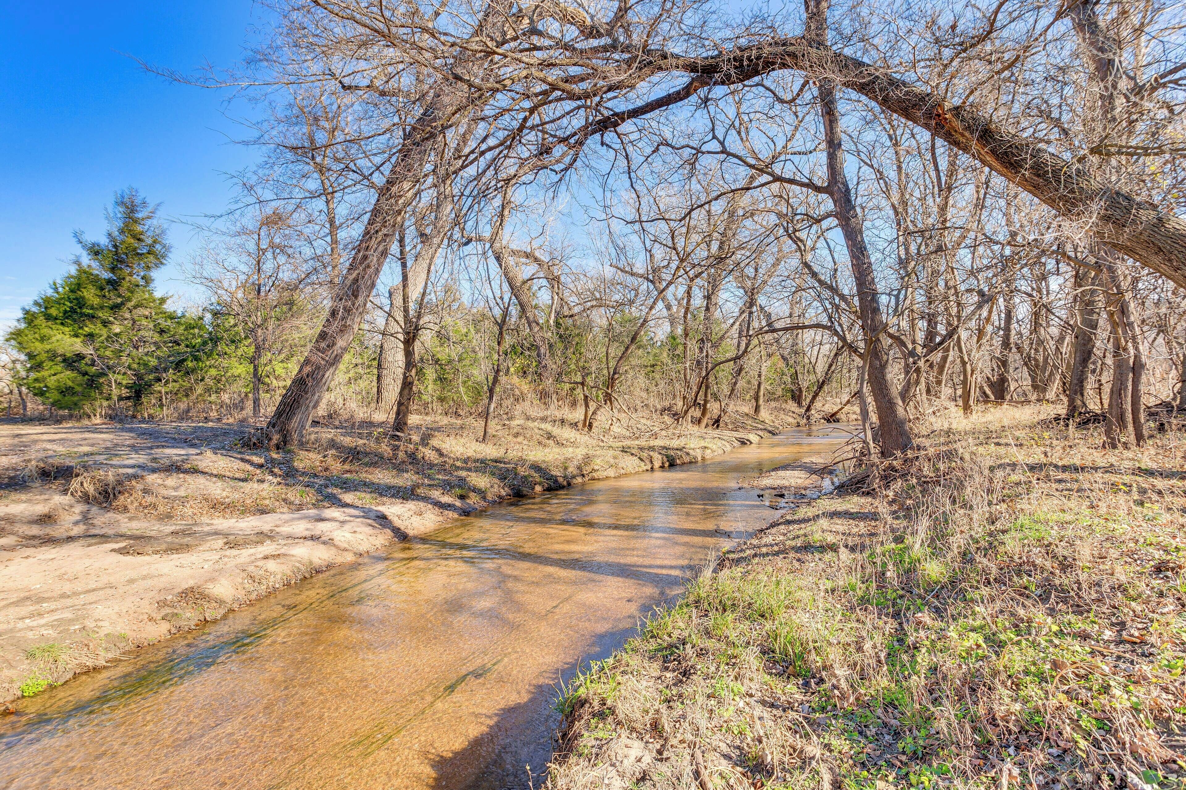 A clear stream flowing through a forested area with bare trees and a dirt path alongside.