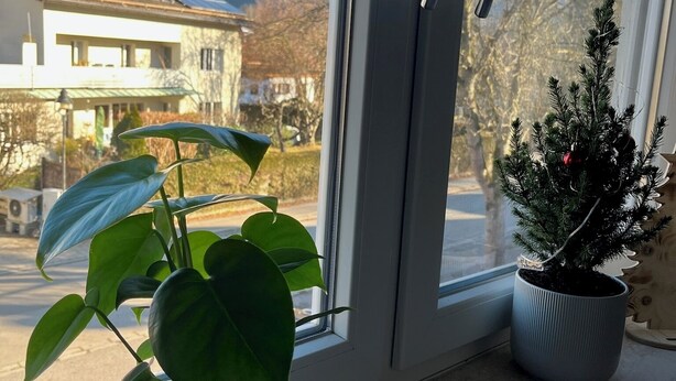 A window with a view of a mountain, a house, and two potted plants on the windowsill.