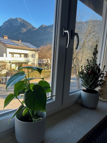 Ferienwohnung Alpenblick