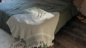 Una camera da letto con un letto, un comodino con una lampada e vista su un giardino.