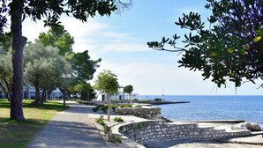 A coastal walkway with stone walls, trees, and a view of the sea. - Quiet holiday apartment with balcony (Umag)