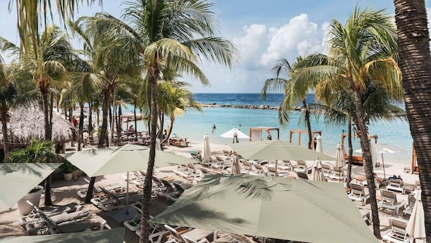 Un resort en la playa con sillas de descanso y sombrillas, palmeras y vistas al océano.