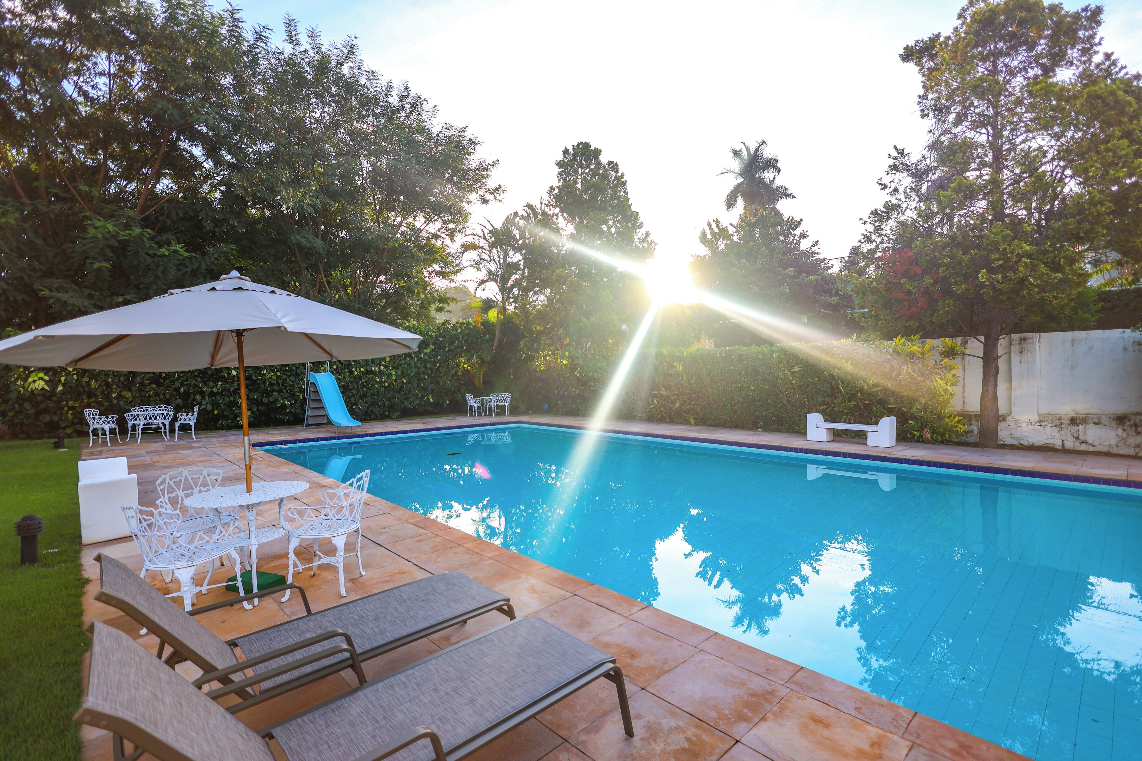 Une piscine entourée de verdure, avec des chaises longues et une table.