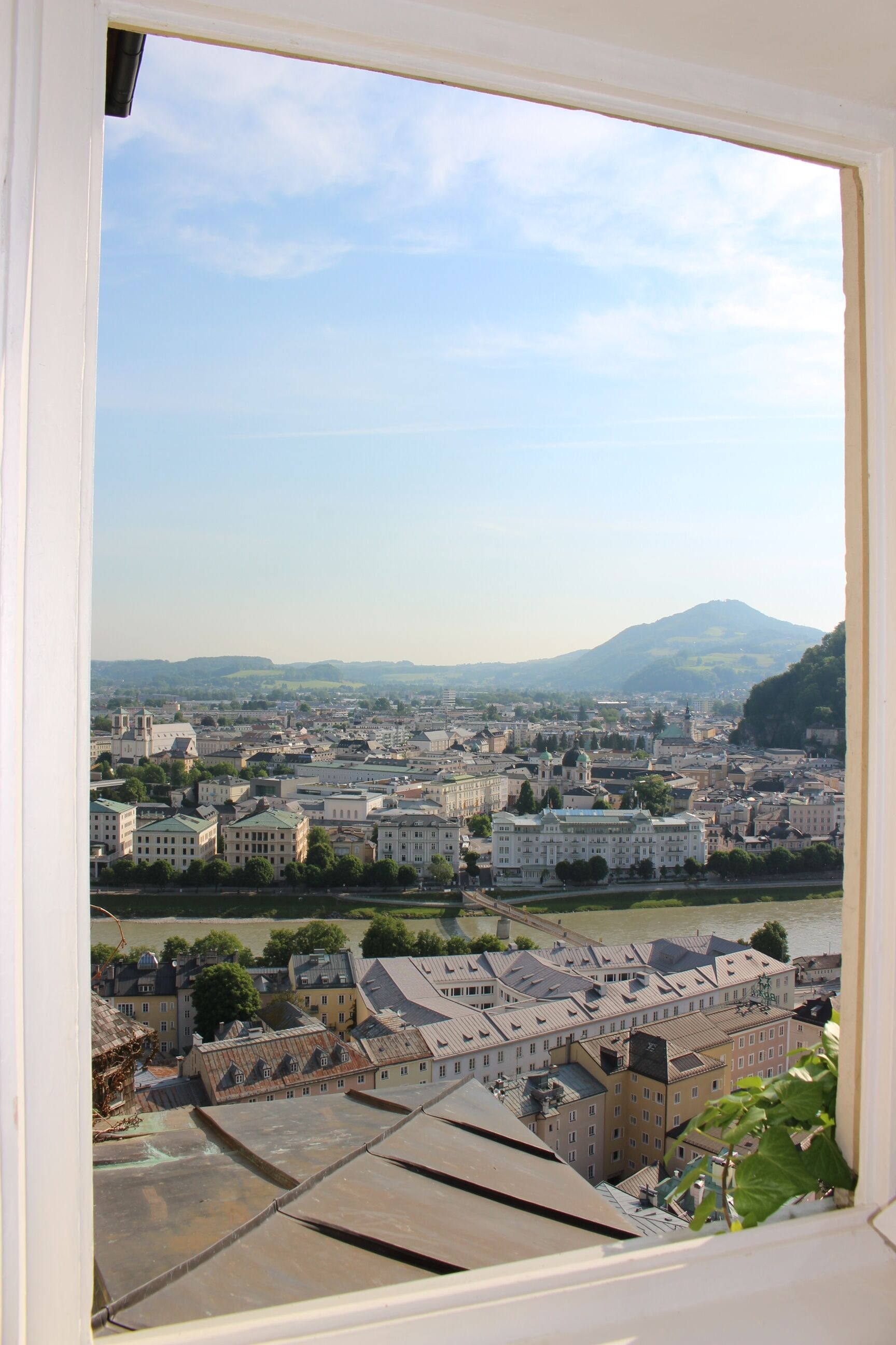 Twin Room, City View