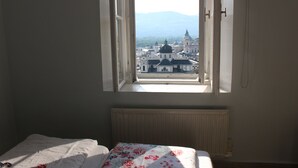 Double Room, City View | Free WiFi - Stadtalm Naturfreundehaus (Salzburg)