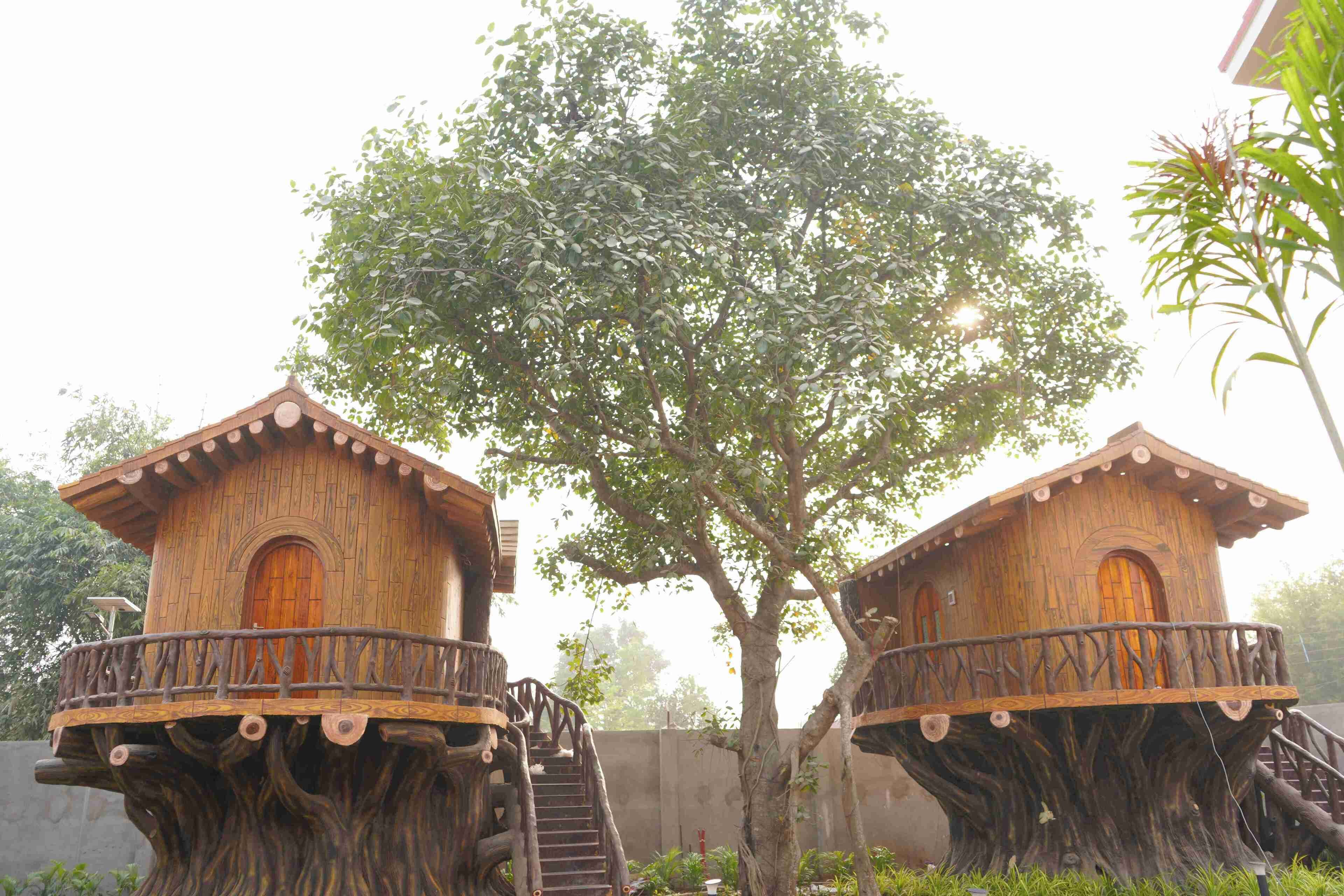 Dos cabañas de estilo casa en el árbol, con balcones, unidas por una escalera.