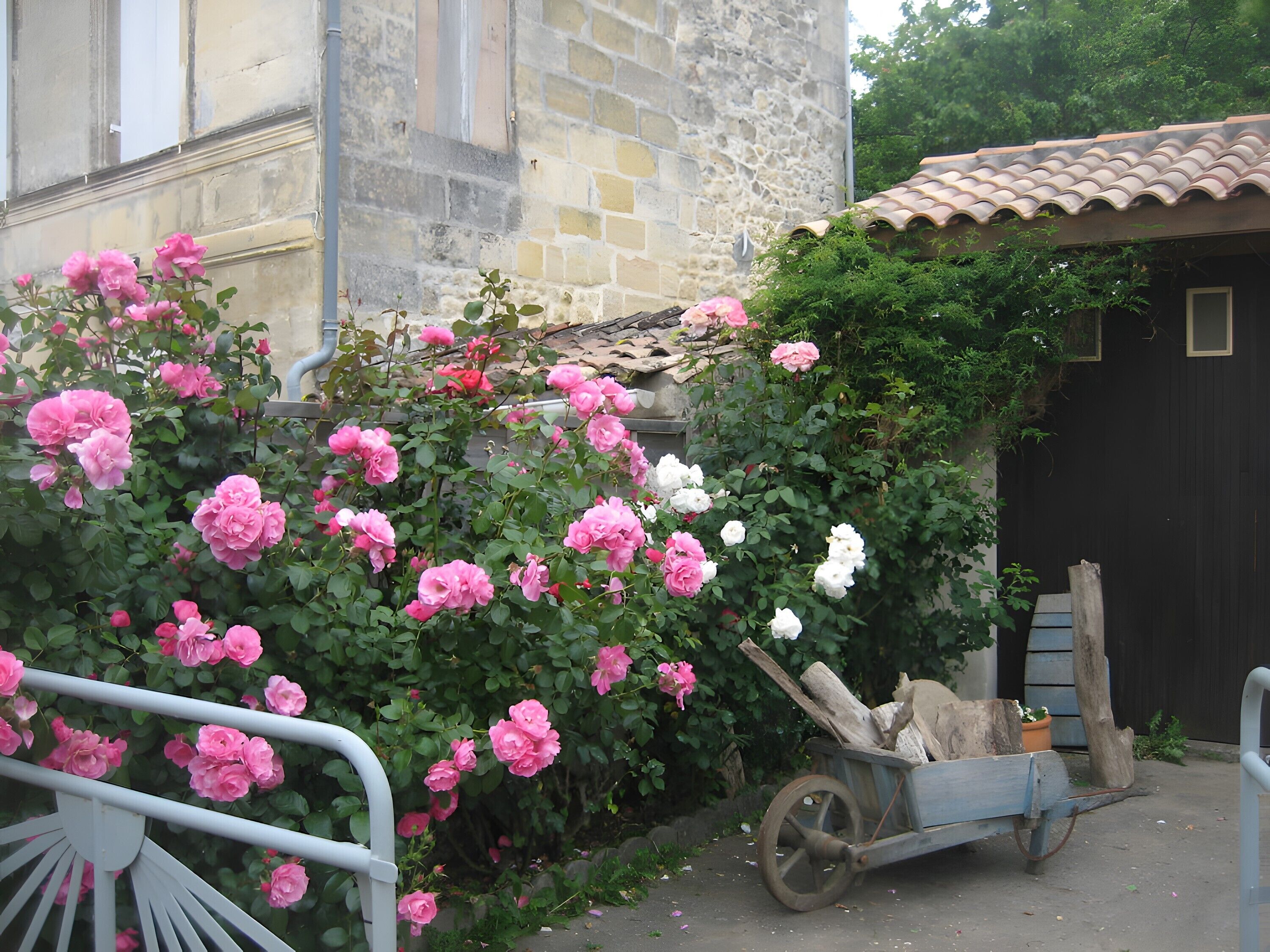 Terrein van de accommodatie