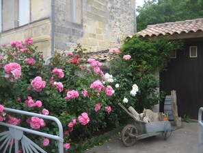 Terrein van de accommodatie