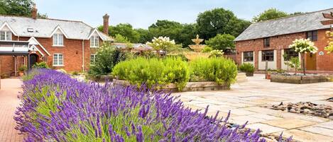 Overnattingsstedets uteområder