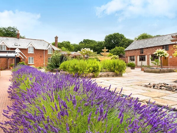 Property grounds - Ivy Cottage, Great Houndbeare Farm (Aylesbeare)