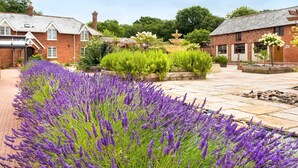 A courtyard with lavender plants, brick buildings, and a fountain. - Lime Cottage, Great Houndbeare Farm (Aylesbeare)