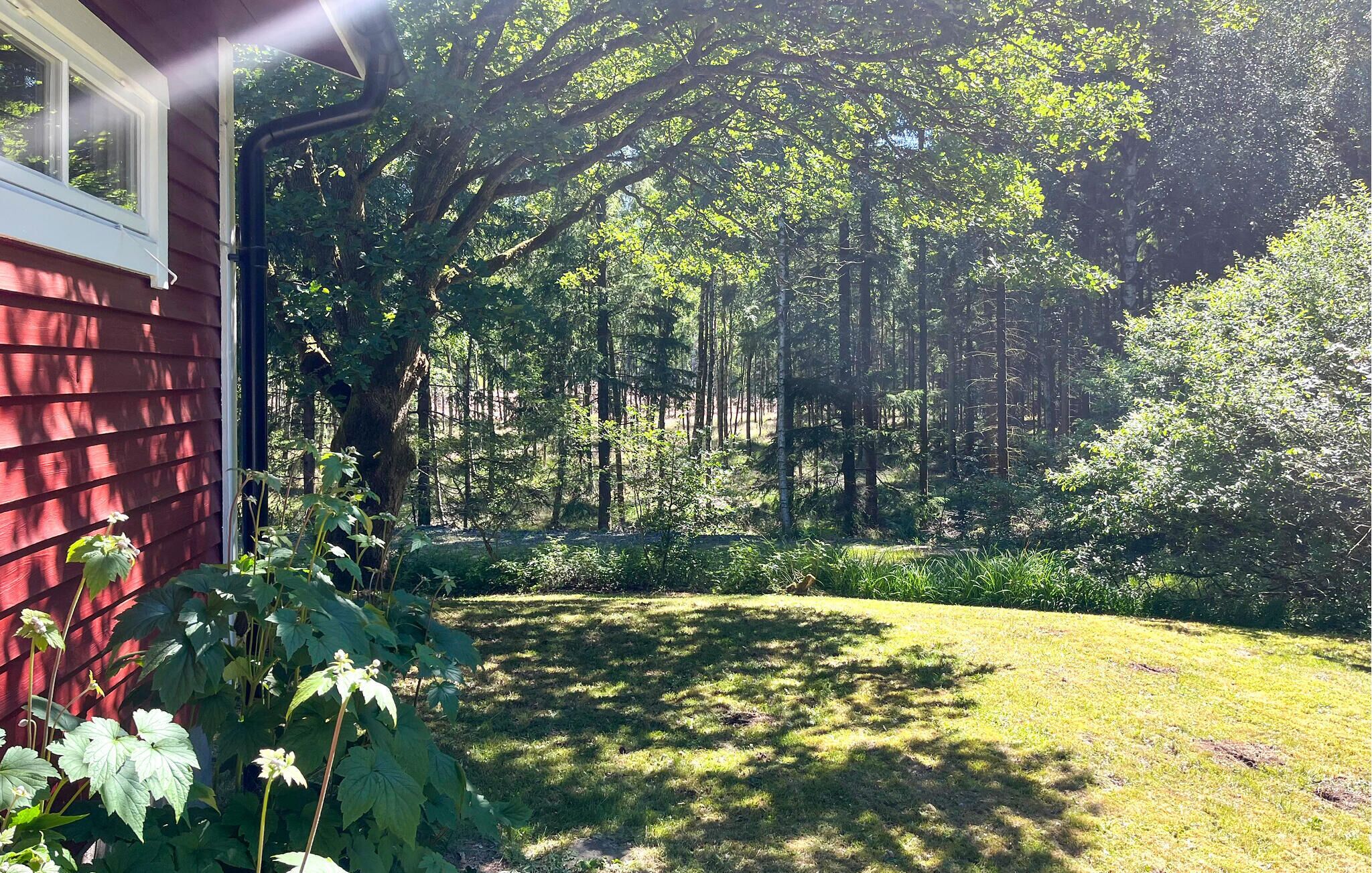 住宿场地