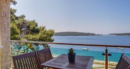Poljana / Kamelija in Mali Lošinj