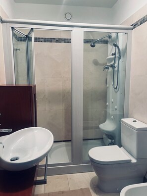 Shower, hair dryer, bidet, towels