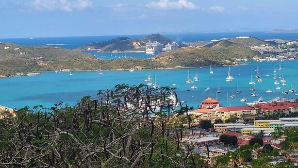 A coastal town with a marina filled with boats, surrounded by hills and buildings. - Queen Deluxe Double at Boundless Bliss Hotel (Southside)