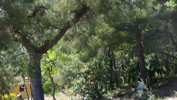 Enceinte de lâhĂ©bergement