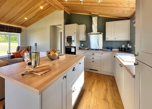 Fridge, oven, stovetop, toaster