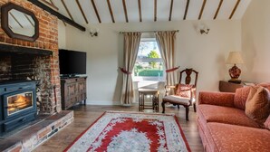 A living room with a fireplace, a television, a sofa, a patterned rug, and a view through a window. - 2 Bed in Aldeburgh (oc-marsh) (Friston)