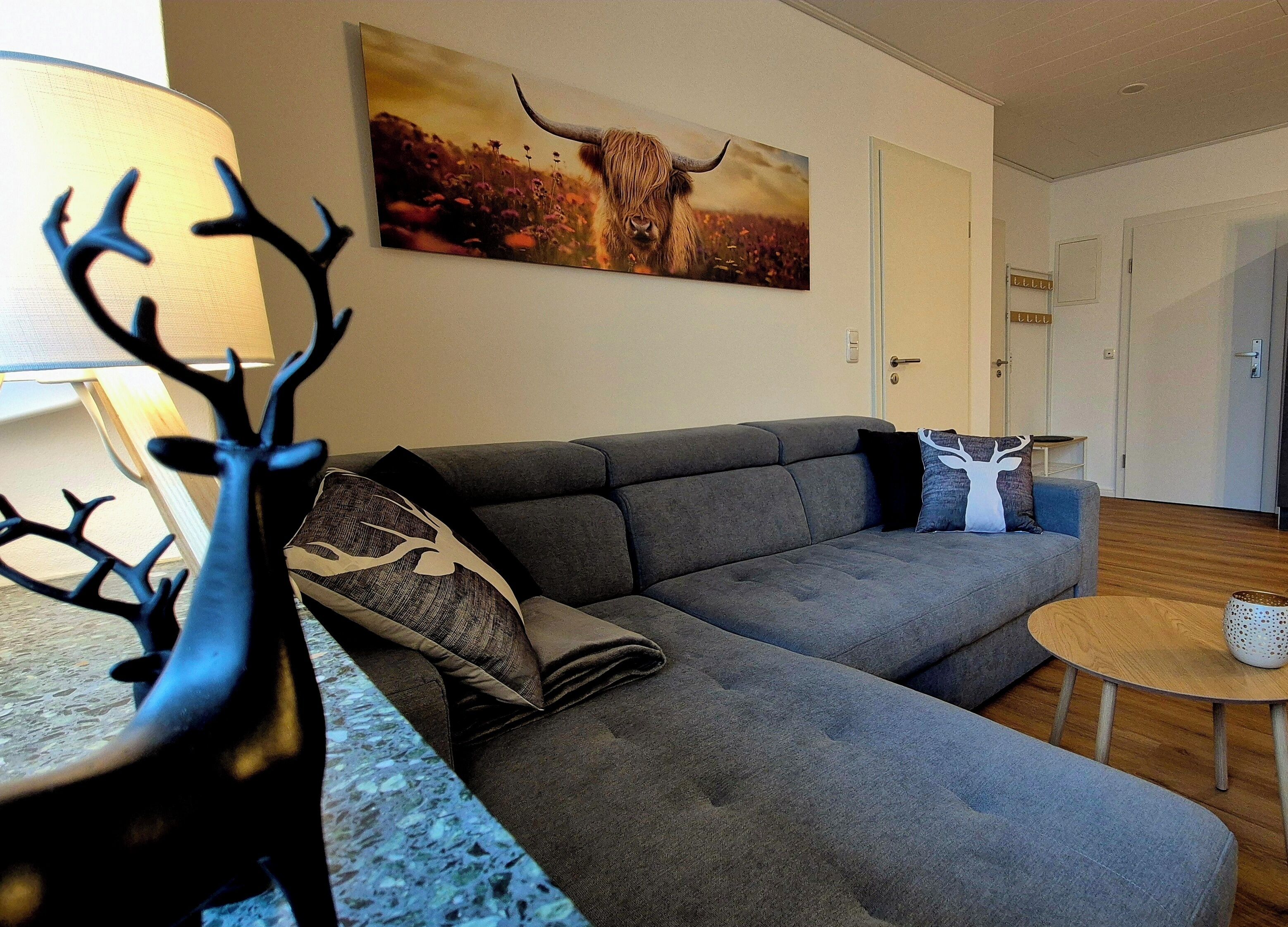 Téléviseur, livres