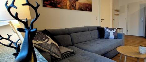 Téléviseur, livres