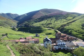 Miscellaneous - Rural Apartment 'Entreladeras 1' (Busdongo)