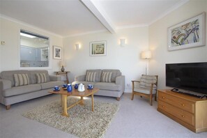 Televisión 