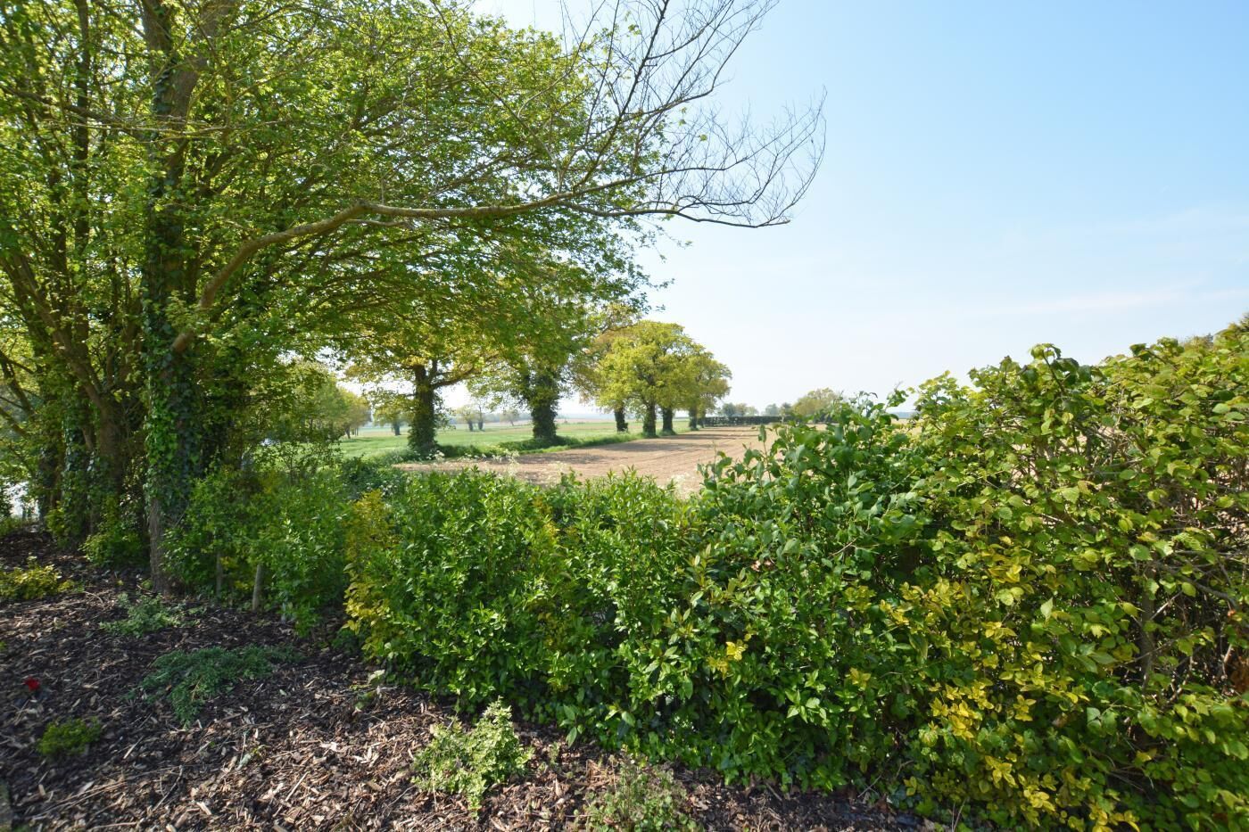 A park with mature trees, a grassy field, and dense shrubbery.