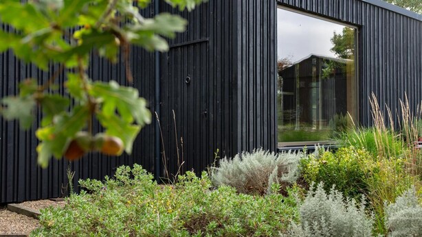 Een modern zwart gebouw met een groot raam en een tuin met verschillende planten.