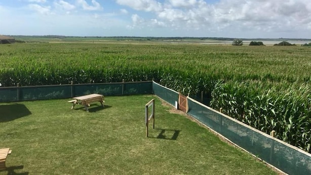 Een gazon met een picknicktafel en een bord, omgeven door een groene hekken, met uitzicht op een maisveld onder een gedeeltelijk bewolkte lucht.