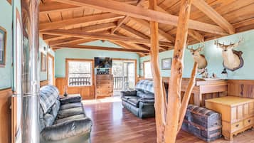 TV, fireplace, books