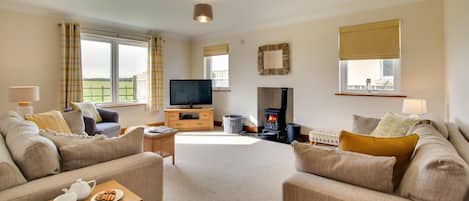 Télévision, cheminée