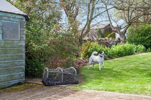 Terrein van de accommodatie